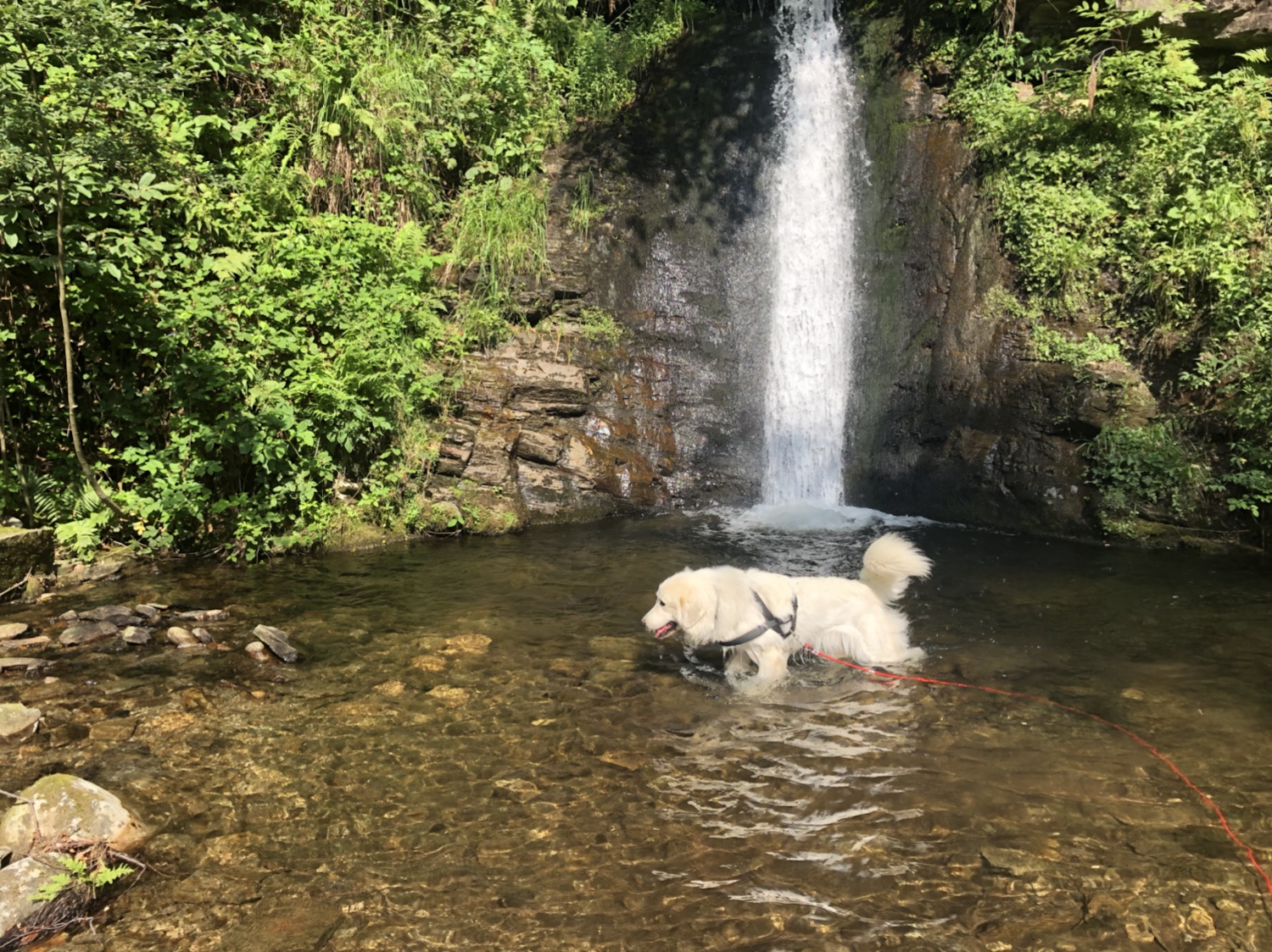 Bella am Wasserfall beim Baden